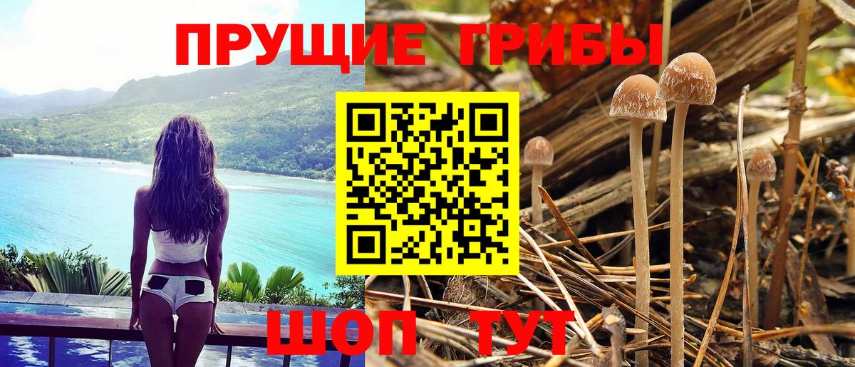 Псилоцибиновые грибы MAGIC MUSHROOMS Гудермес